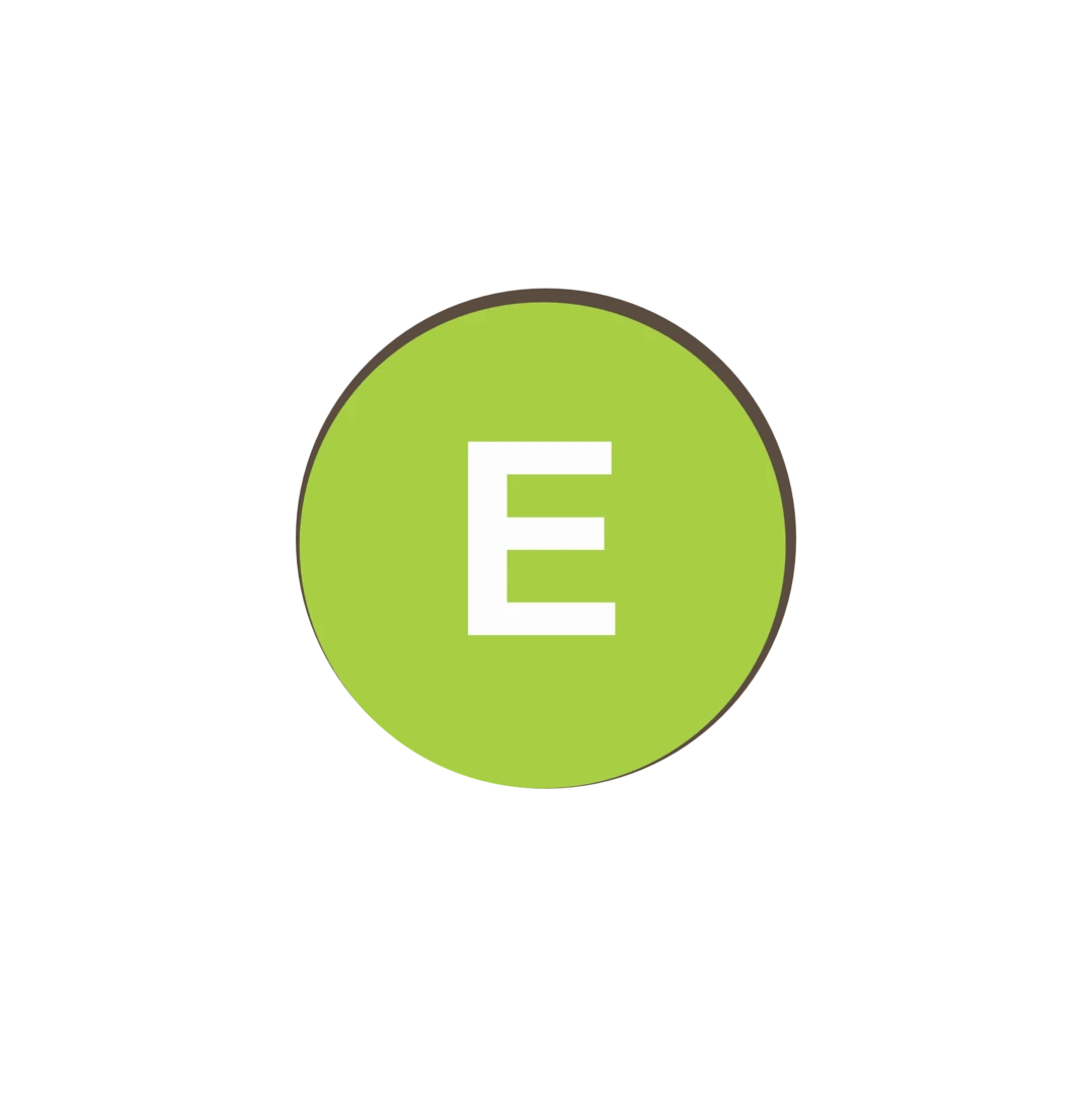 Tile Adhesive E Classification