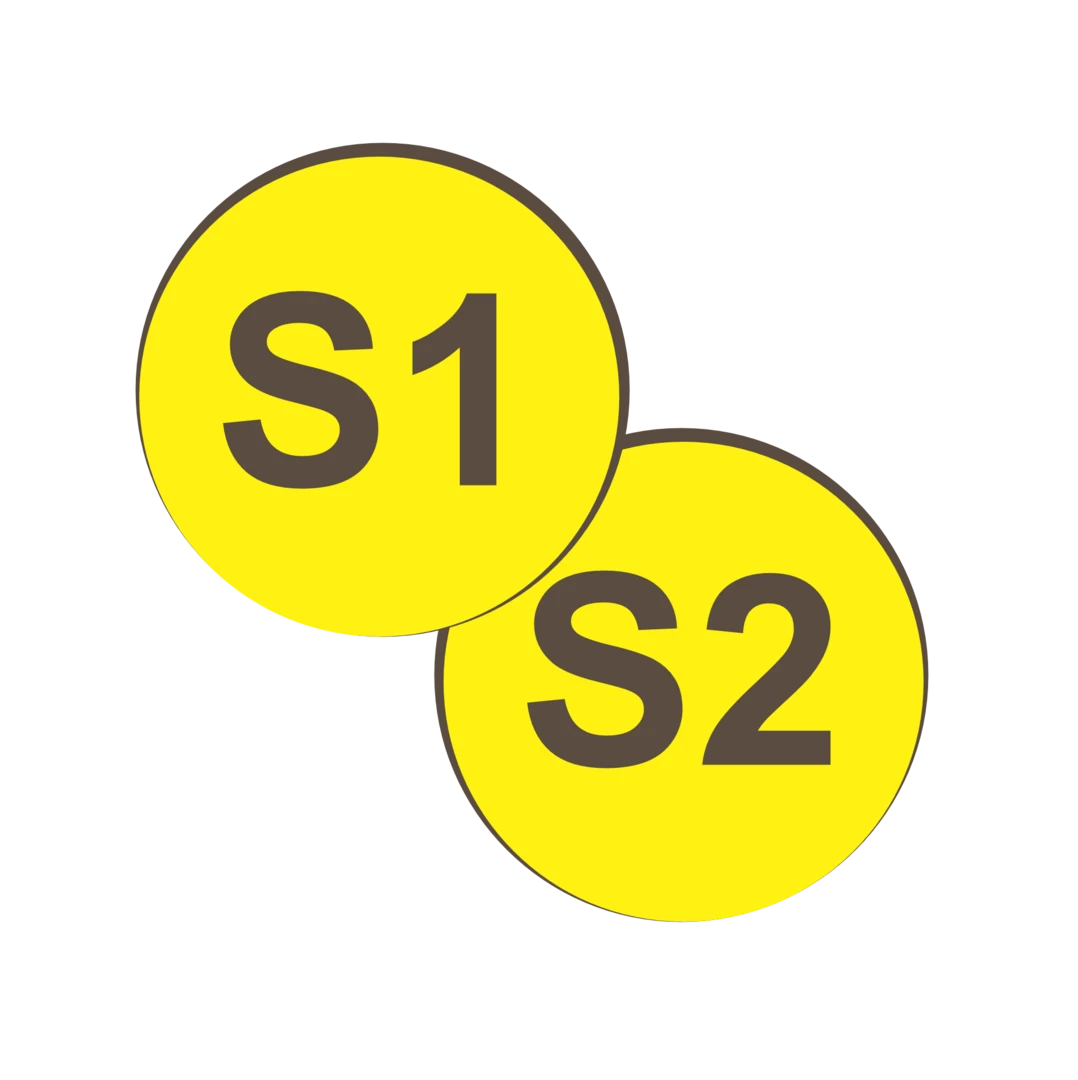 Tile Adhesive S Classification